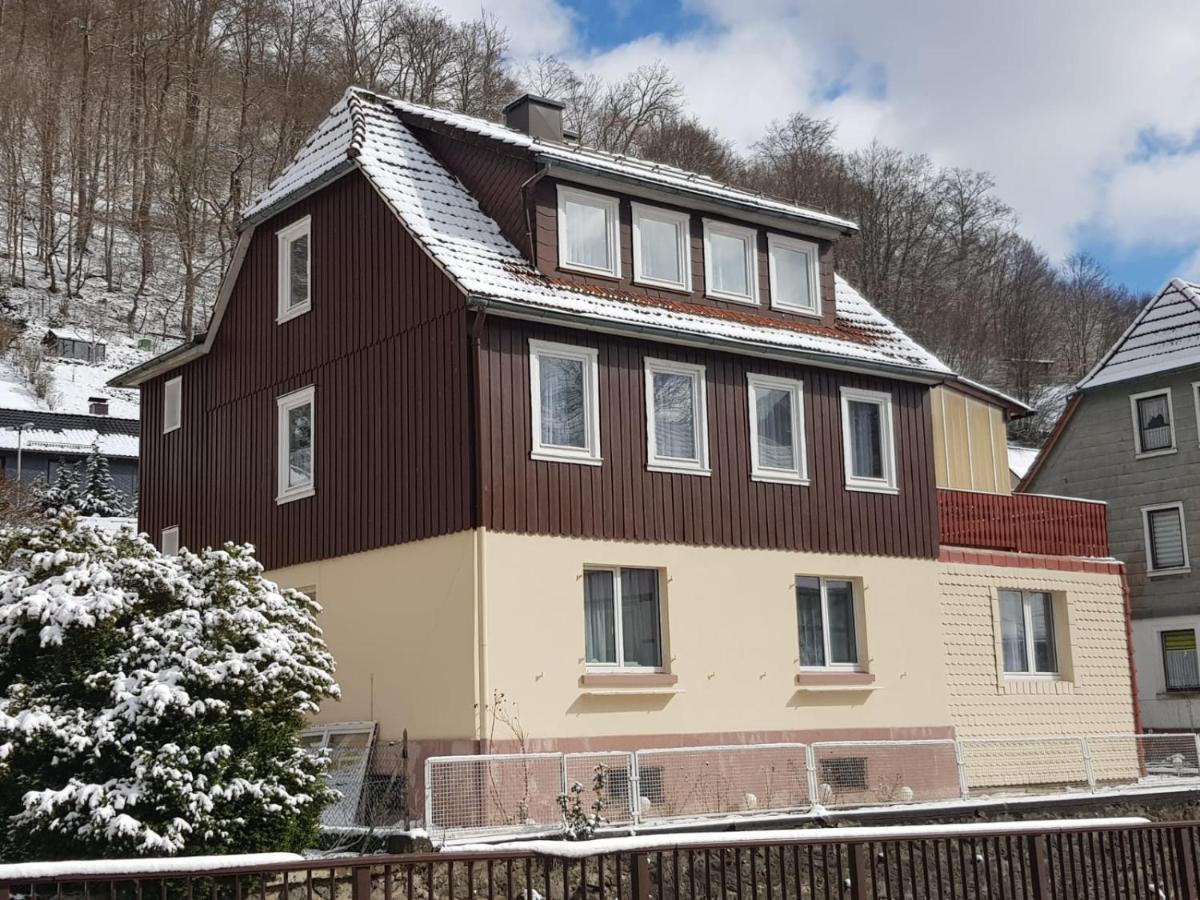 Ferienhaus Am Fluss Mit Traumhafter Dachterrasse ,Garten Und Grill Walkenried Buitenkant foto