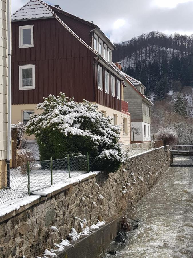 Ferienhaus Am Fluss Mit Traumhafter Dachterrasse ,Garten Und Grill Walkenried Buitenkant foto