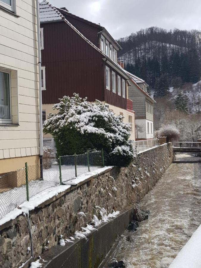Ferienhaus Am Fluss Mit Traumhafter Dachterrasse ,Garten Und Grill Walkenried Buitenkant foto