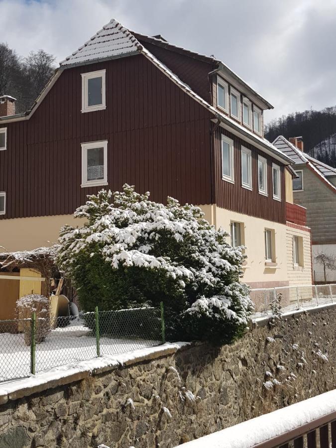 Ferienhaus Am Fluss Mit Traumhafter Dachterrasse ,Garten Und Grill Walkenried Buitenkant foto