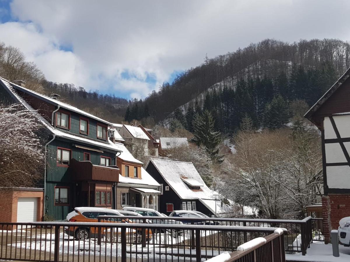 Ferienhaus Am Fluss Mit Traumhafter Dachterrasse ,Garten Und Grill Walkenried Buitenkant foto