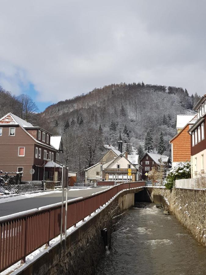 Ferienhaus Am Fluss Mit Traumhafter Dachterrasse ,Garten Und Grill Walkenried Buitenkant foto