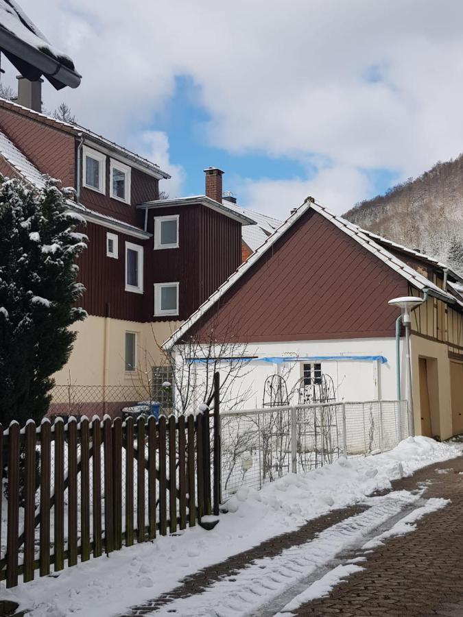 Ferienhaus Am Fluss Mit Traumhafter Dachterrasse ,Garten Und Grill Walkenried Buitenkant foto
