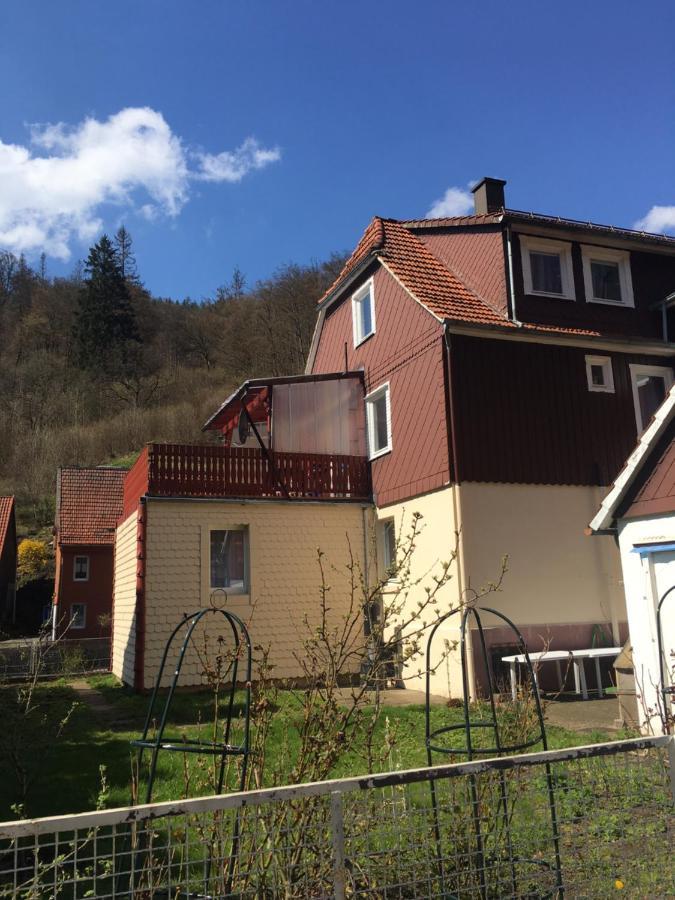 Ferienhaus Am Fluss Mit Traumhafter Dachterrasse ,Garten Und Grill Walkenried Buitenkant foto