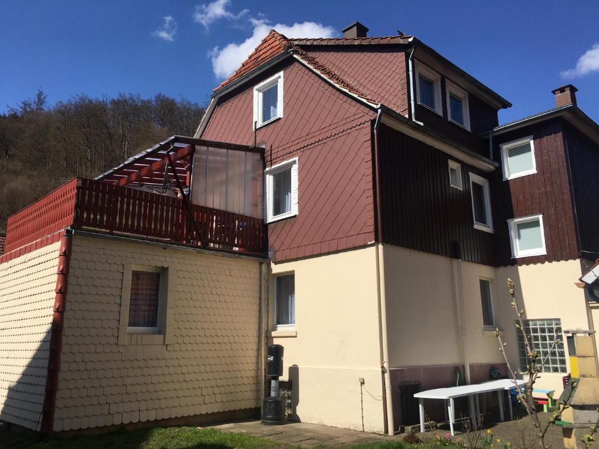 Ferienhaus Am Fluss Mit Traumhafter Dachterrasse ,Garten Und Grill Walkenried Buitenkant foto