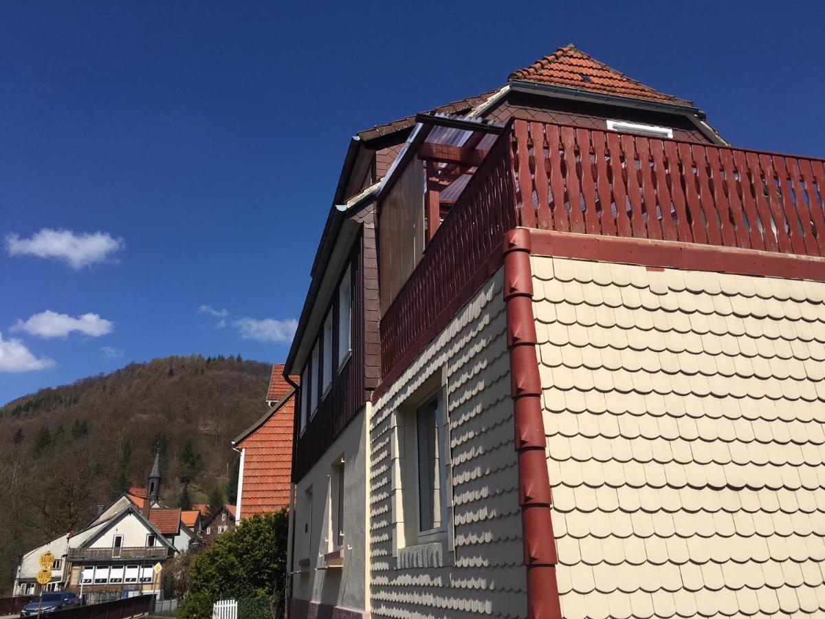 Ferienhaus Am Fluss Mit Traumhafter Dachterrasse ,Garten Und Grill Walkenried Buitenkant foto