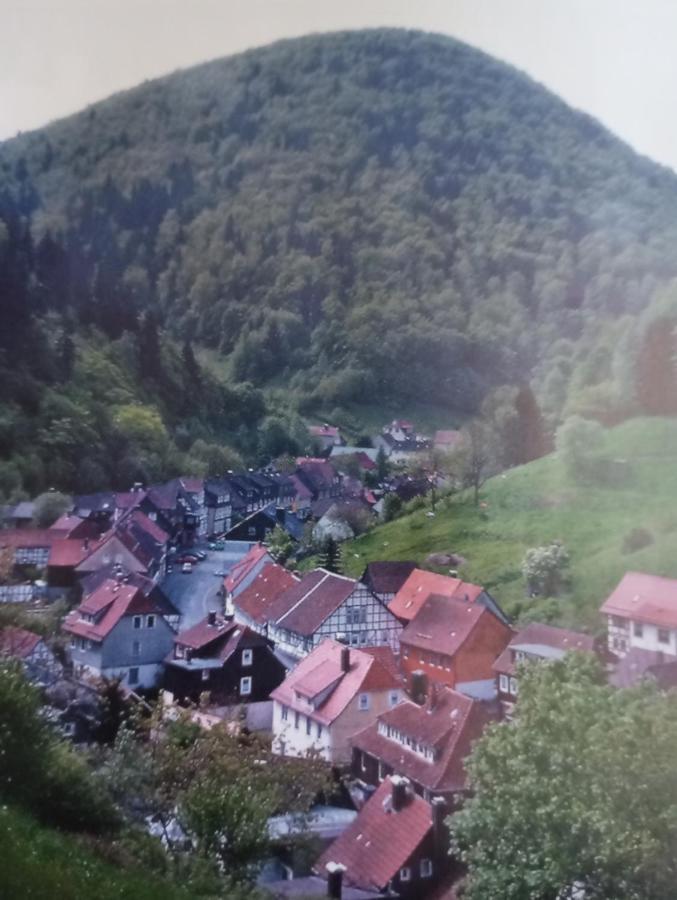 Ferienhaus Am Fluss Mit Traumhafter Dachterrasse ,Garten Und Grill Walkenried Buitenkant foto
